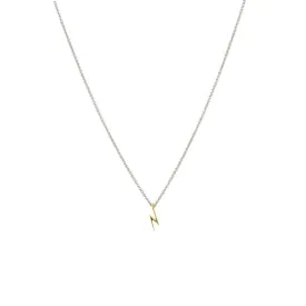 Beloved Necklace Tiny Gold Flash
