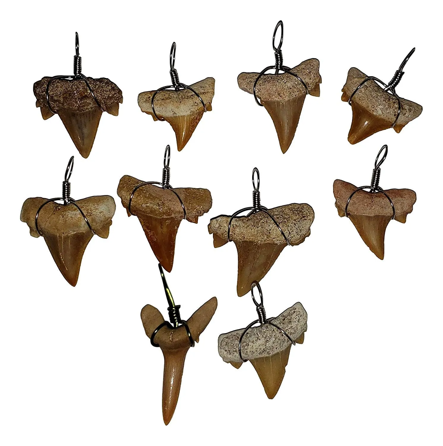Make-Your-Own Fossil Shark Tooth Necklace Kits - Set of 10
